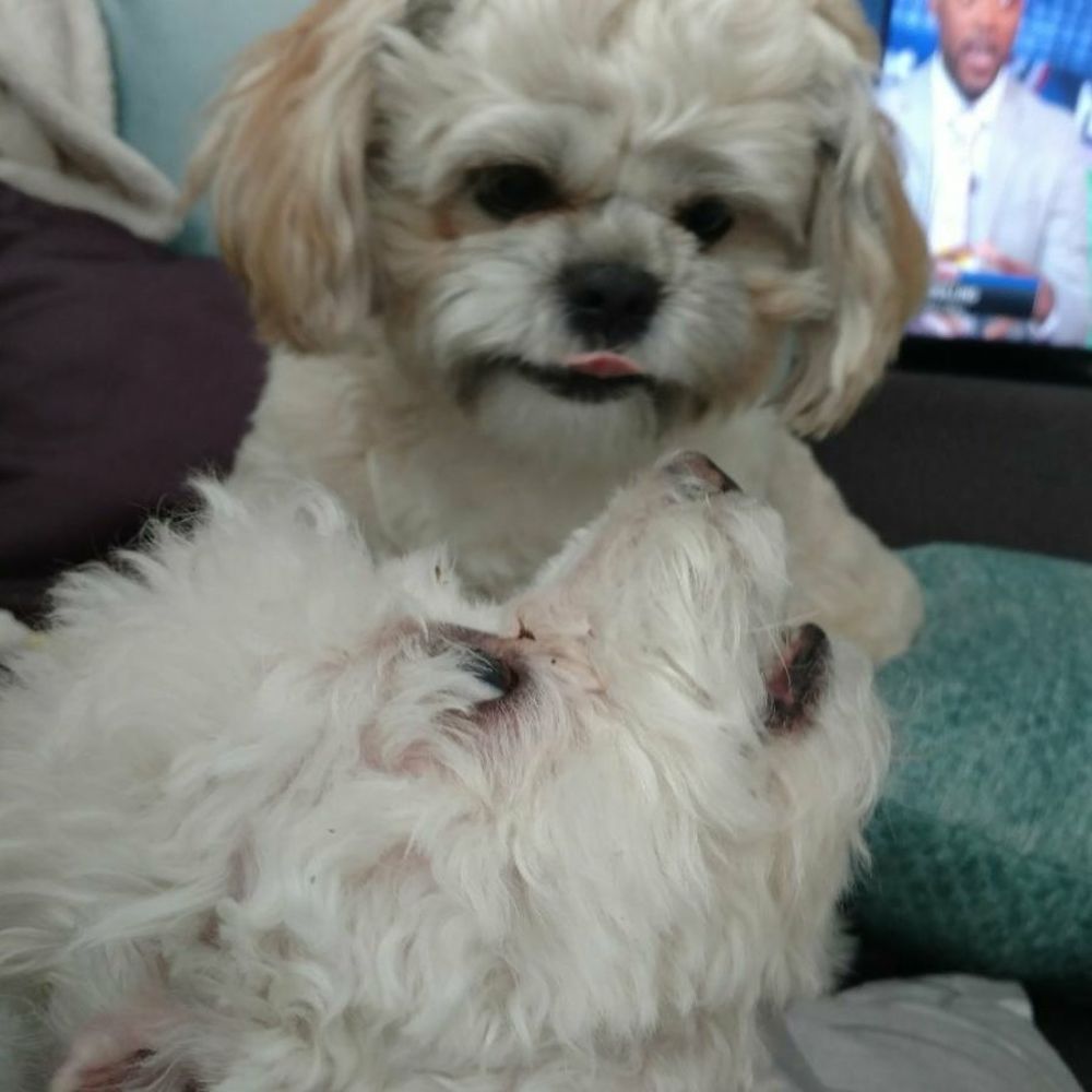 Meet your Posher, Jennifer